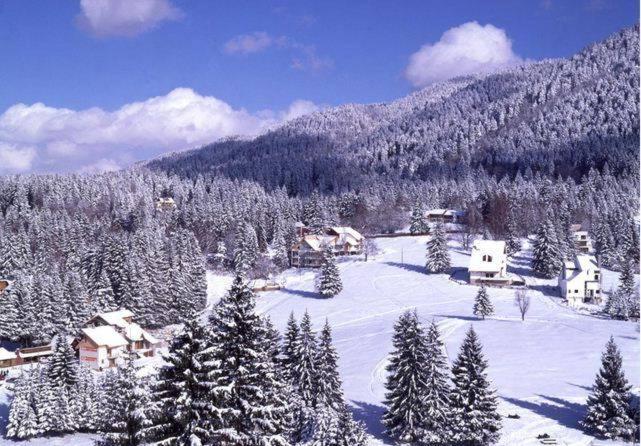 Poiana Brasov, Aparthotel 609,Alpin Экстерьер фото
